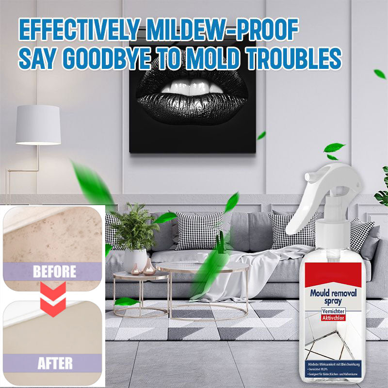 All-purpose Mildew Removal Spray（Buy 2 Get 1 Free）-7