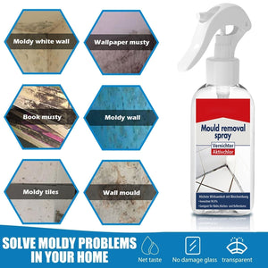 All-purpose Mildew Removal Spray（Buy 2 Get 1 Free）-6